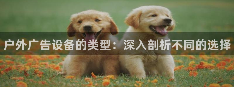 杏宇平台代理怎么赚钱的：户外广告设备的类型：深入剖析不同的选择