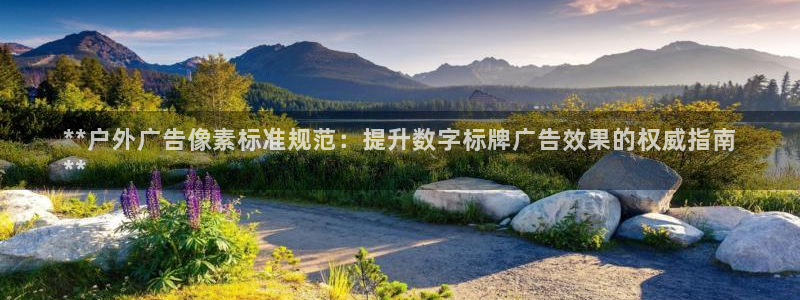 杏宇平台代理怎么赚钱快：**户外广告像素标准规范：提升数字标牌广告效果的权威指南
**
