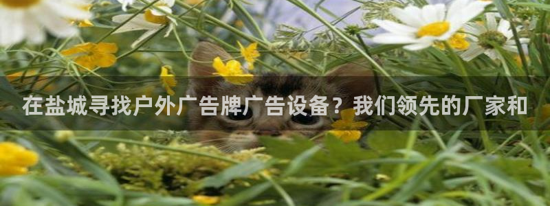 杏宇平台登录方法：在盐城寻找户外广告牌广告设备？我们领先的厂家和
