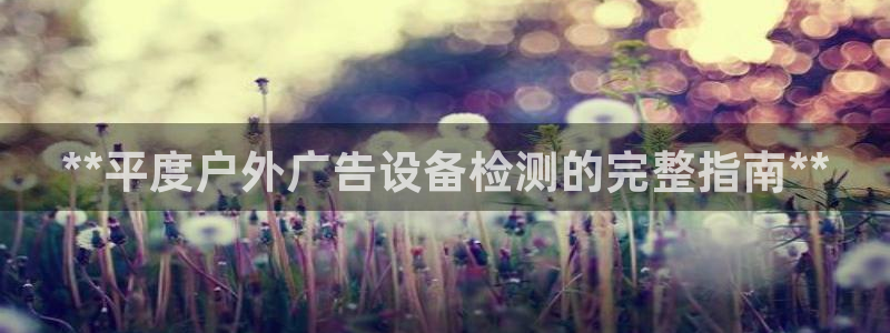 杏宇平台总代理电话：**平度户外广告设备检测的完整指南**