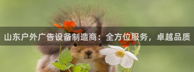 杏宇官方平台官网下载：山东户外广告设备制造商：全方位服务，卓越品质