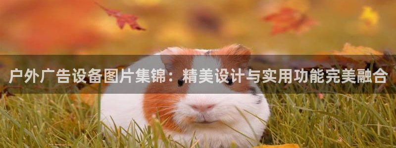 杏宇平台代理：户外广告设备图片集锦：精美设计与实用功能完美融合