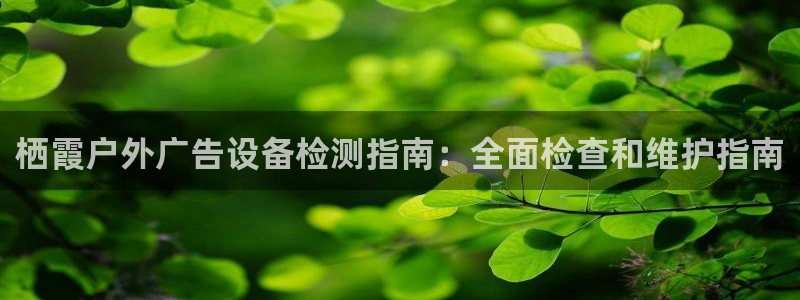 杏宇官方平台官网下载：栖霞户外广告设备检测指南：全面检查和维护指南