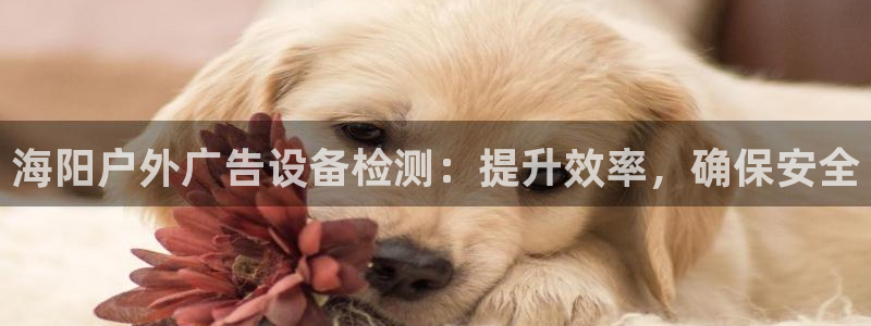杏宇平台登录步骤：海阳户外广告设备检测：