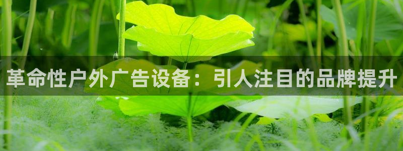 杏宇平台代理多少钱：革命性户外广告设备：引人注目的品牌提升
