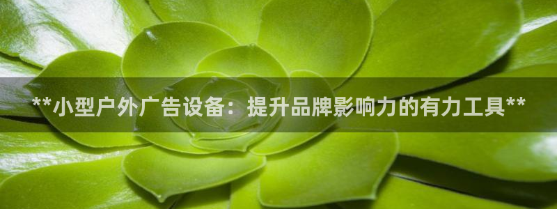杏宇平台开户：**小型户外广告设备：提升品牌影响力的有力工具**