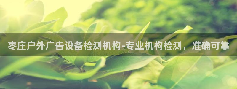 杏宇平台代理怎么赚钱快：枣庄户外广告设备检测机构-专业机构检测，准确可靠