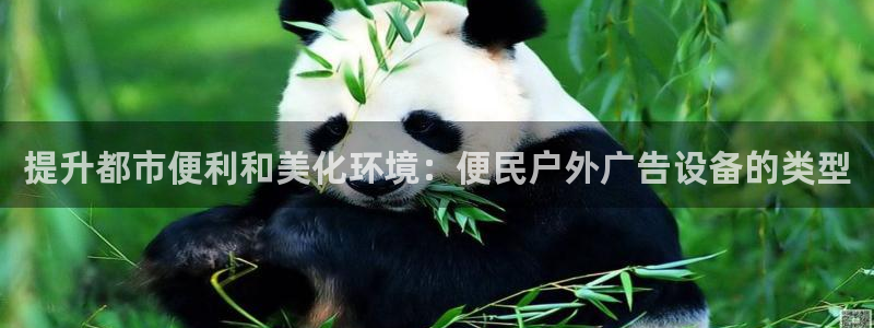 杏宇平台代理多少钱一次：提升都市便利和美