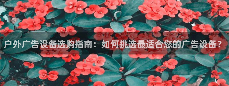 杏宇官方平台官网入口：户外广告设备选购指