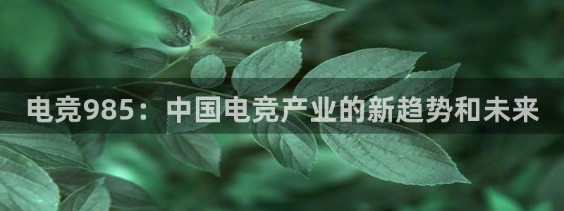 火狐电竞huohu